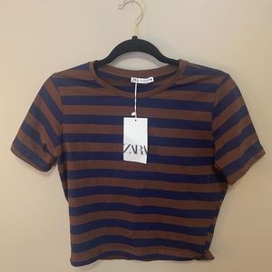 Zara Cropped Stripe T-Shirt